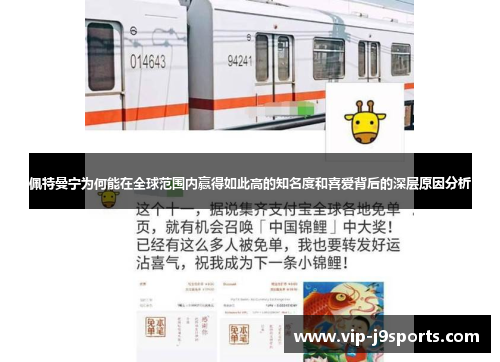 佩特曼宁为何能在全球范围内赢得如此高的知名度和喜爱背后的深层原因分析